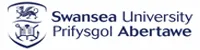 Swansea University